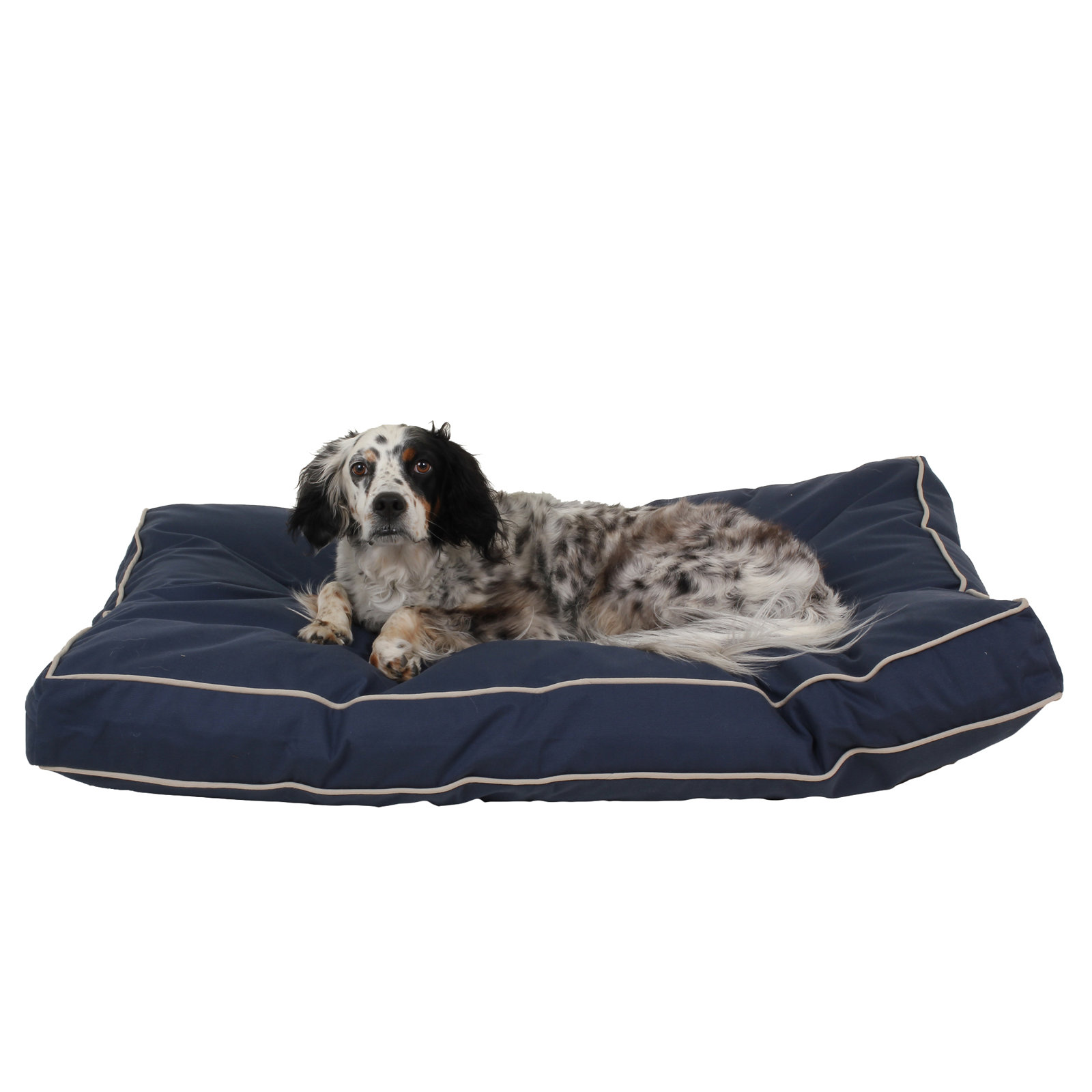 Orthopedic Foam Pet Bed with Washable Cover, Blue/Khaki, Medium (42" W x 30" D x 4" H)