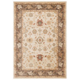 Oriental Area Rug in Cream/Brown