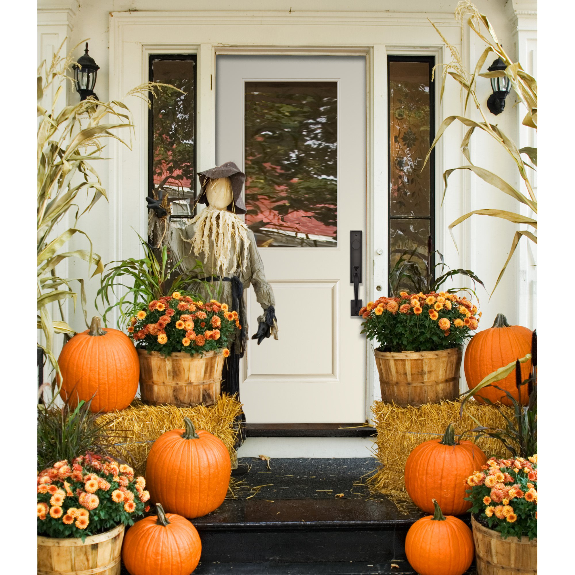 Knockety Fiberglass Prehung Front Entry Doors | Wayfair