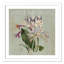 «Botanical Posters», Jardin Botanique-60137085-60137086
