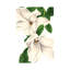 Magnolia I by Saturday Evening Post - Gallery-Wrapped Canvas Giclée on Canvas-1787734044-1787734017-1787734047