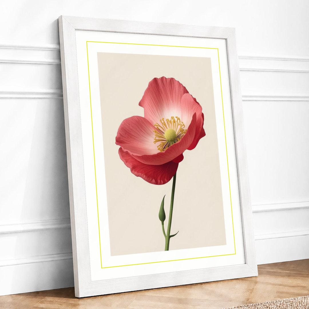 Single Poppy in Bloom Botanical - Framed Print