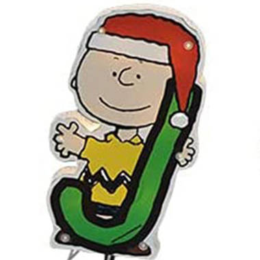 Peanuts Gang Halloween Pre-Lit Indoor/Outdoor Window Decor - Charlie B