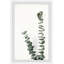 Eucalyptus Towers - Single Picture Frame Painting-1944103777