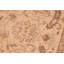 Tapis oriental brun clair en laine noué à la main 6 pi 1 po x 9 pi 3 po Baccio