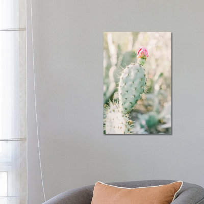 Prickly Pear Flower, Tuscon, Arizona by Lovelylittlehomeco - Wrapped Canvas Gallery-Wrapped Canvas Giclée
