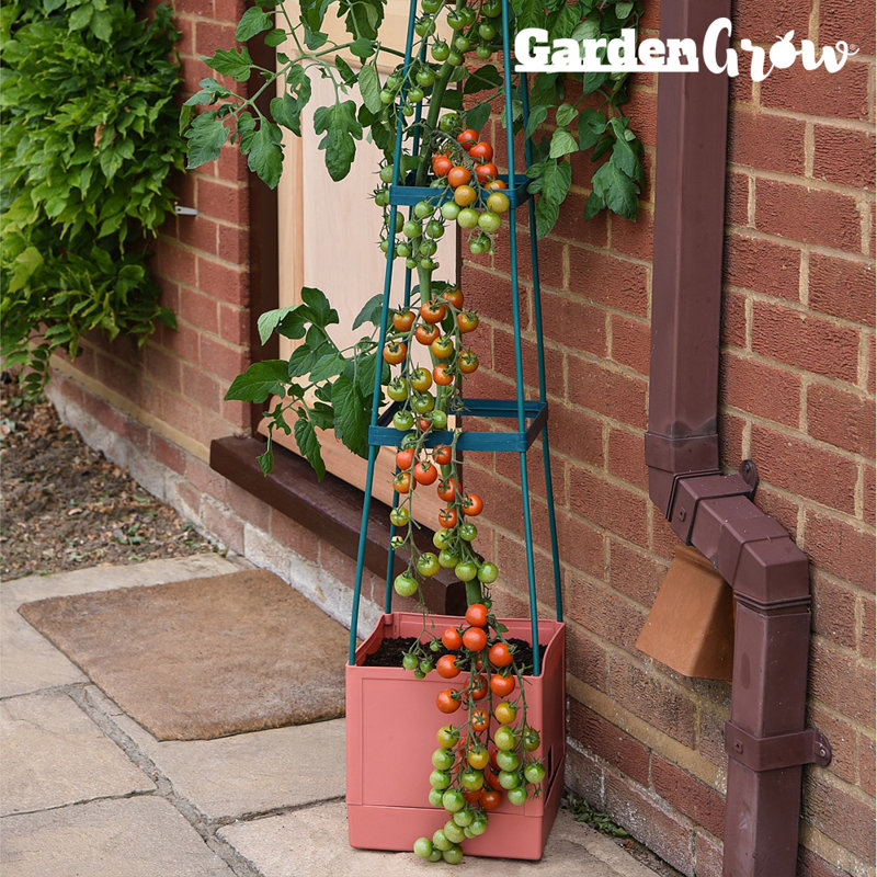 Brookhill Plant Pot Tomato Tower (x5), 5