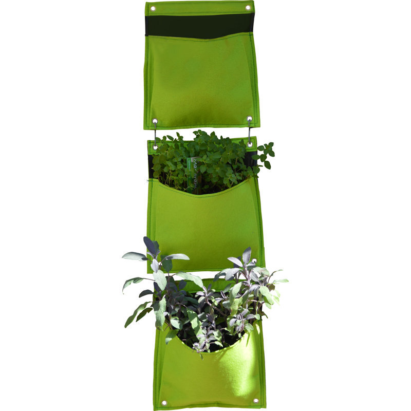 LosPalmos Wall Planter, Lime Green