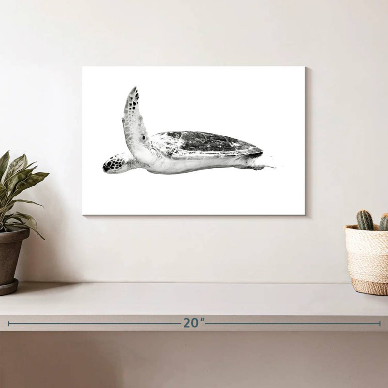 Noble Hawksbill Turtle, 8" H x 12" W
