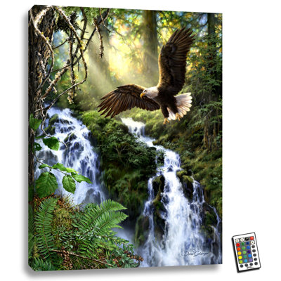 Eagle's Flight 18x24 Fully Illuminated ColorChange LED Print