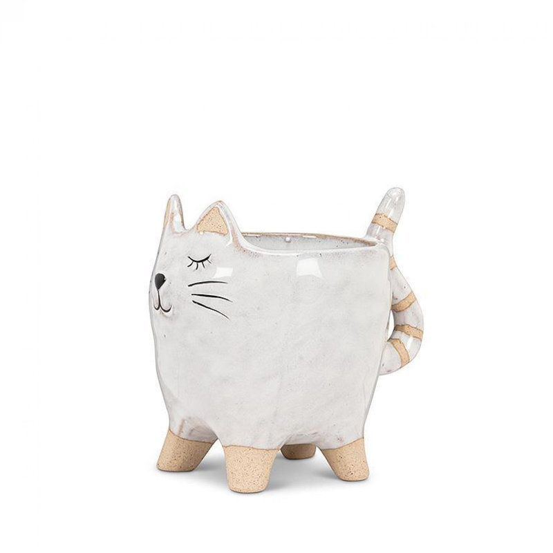 Chat blanc avec jardinière à queue rayée