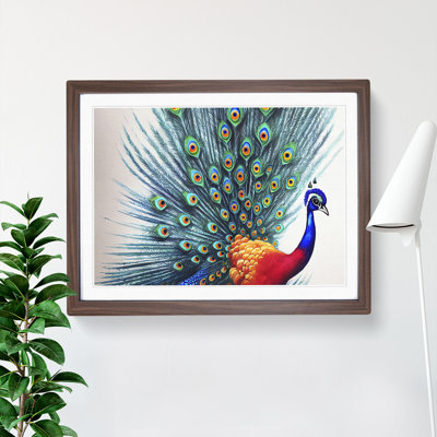 Watercolour Peacock Art - Single Picture Frame Painting