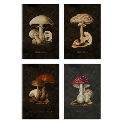 "Mushroom Genus Study", art mural par Tina Higgins Designs, Inc.