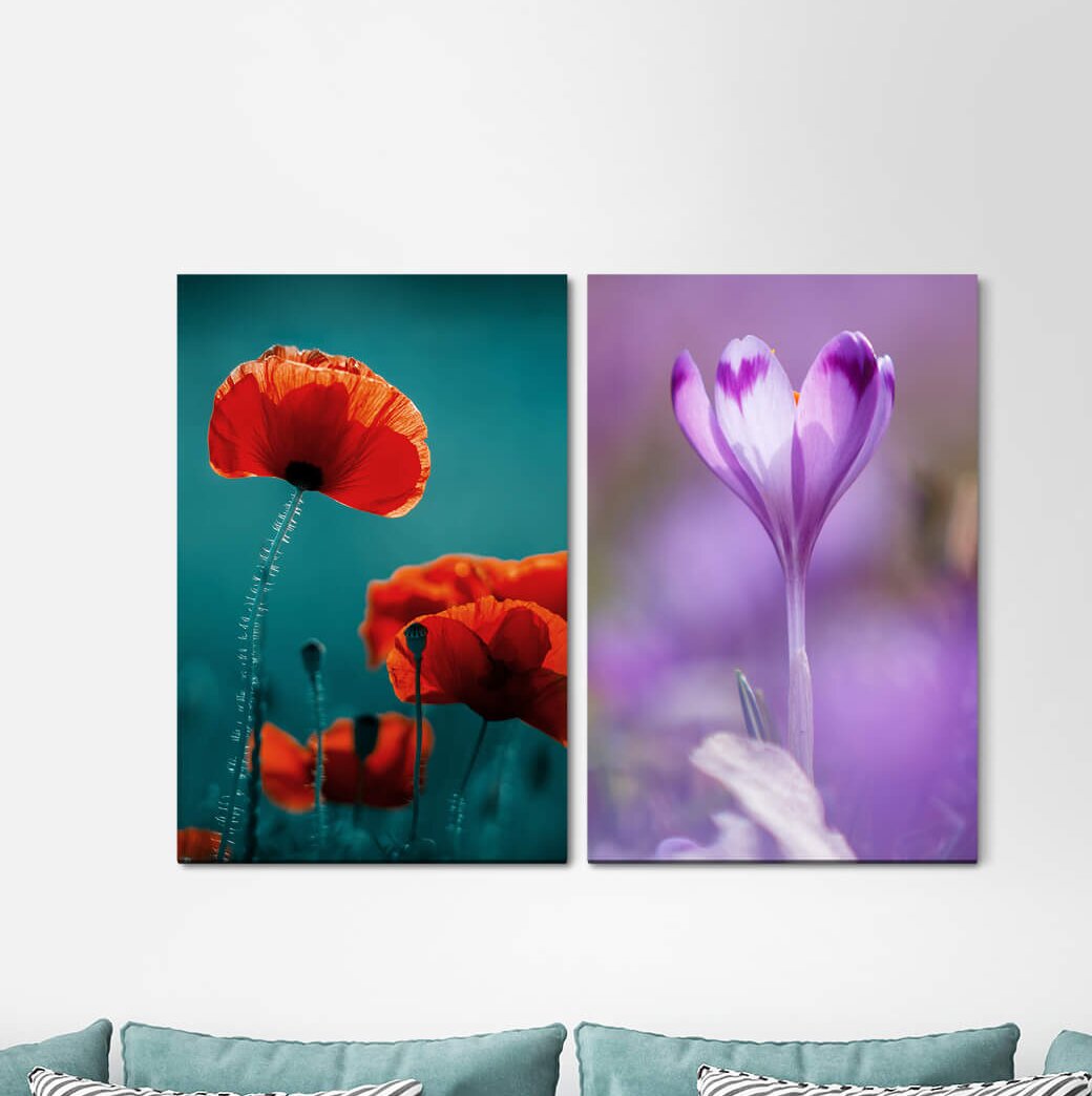 2-tlg. Leinwandbilder-Set - Fotografie „Poppy Flower Summer Soft Delicate”