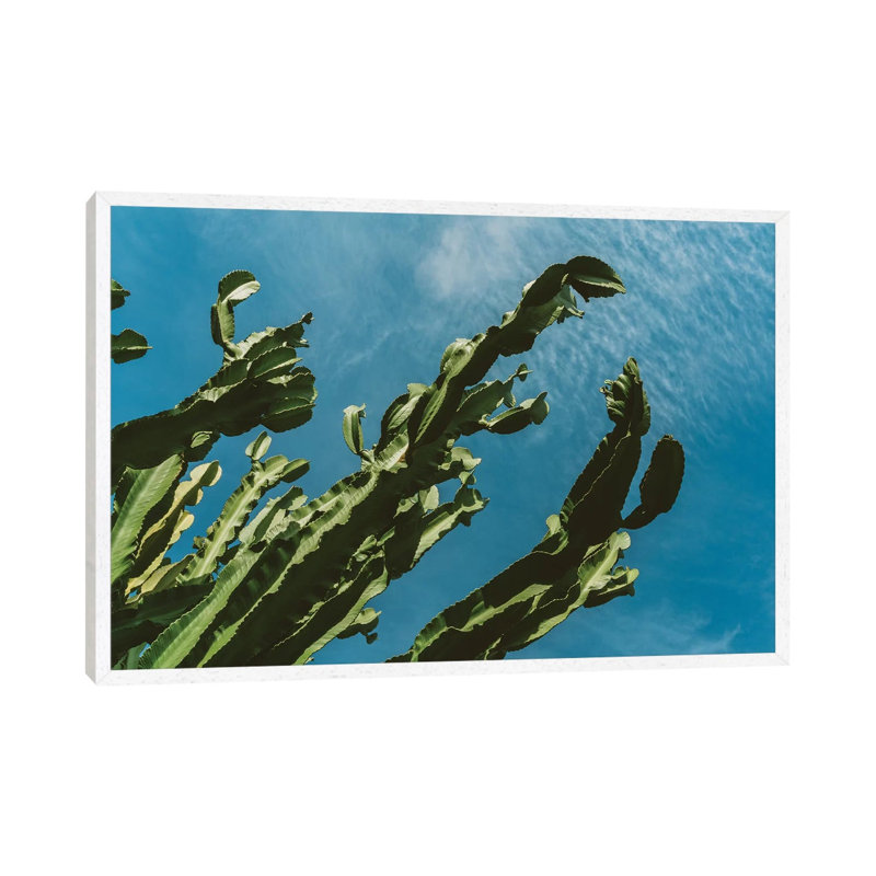 Cactus Sky III by Bethany Young - Print on Canvas, 101.6cm H x 152.4cm W x 3.81cm D, White Framed