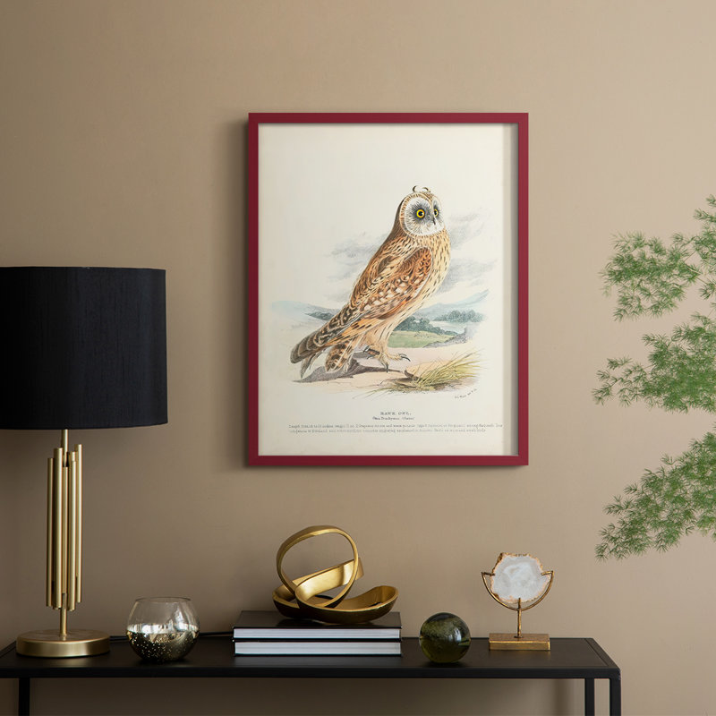 Hawk Owl, reproduction encadrée - bois massif, H 15 po x l 12 po, Rouge