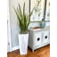 Snake Plant In Fiberstone Pot