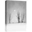 «Black and White Winter Snow Trees» sur-99141876-99141871