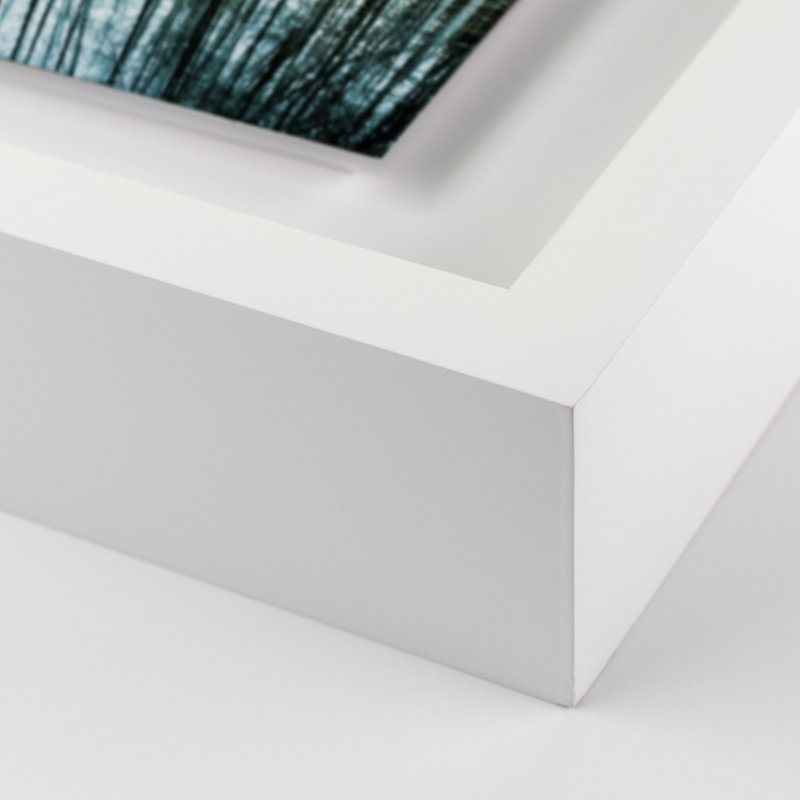 Eerie Trees V Print by Jakob Wagner, White, 15" H x 24" W x 1.5" D