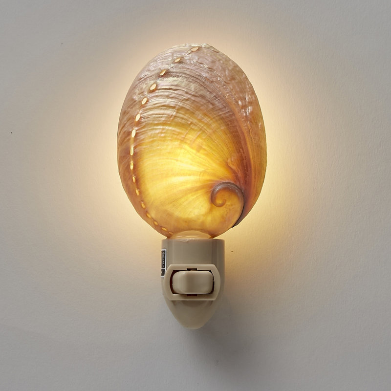 Veilleuse perle abalone à DEL