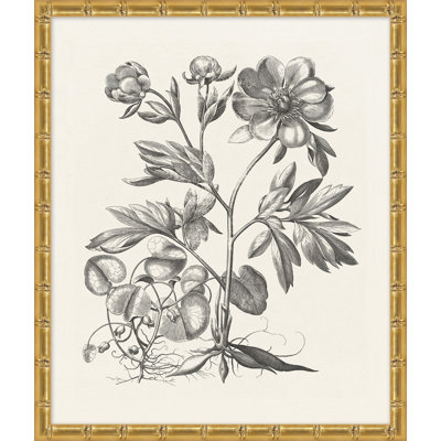 Bessler Study Neutral, reproduction d'art graphique encadrée 3 pi