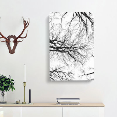 Tree Branches In Central Park New York - Wrapped Canvas