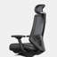 Ergonomic Chair Pro-1299345843-1299345841