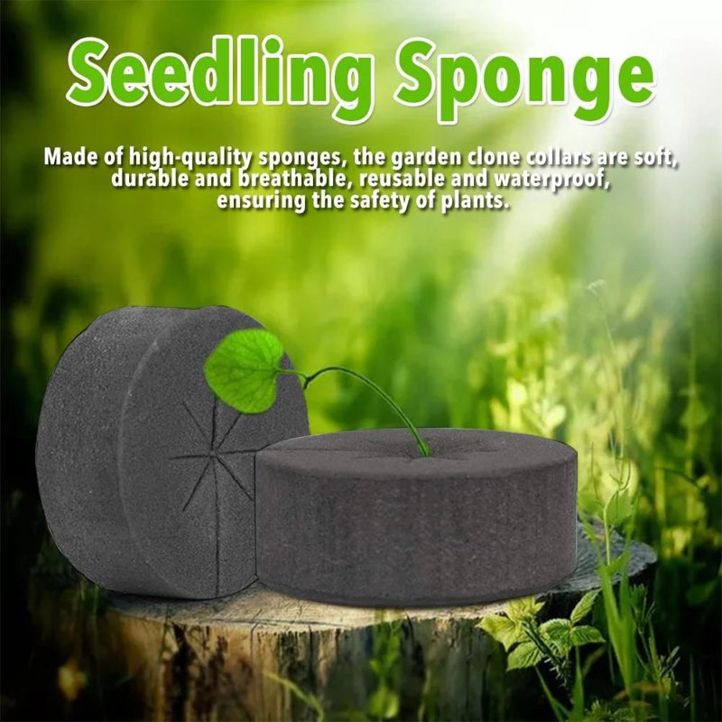 Hydroponic Systems Club (HSC) Growing Kit