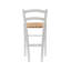 Raegan Counter Stool with Solid Wood Frame-989602889-989602888