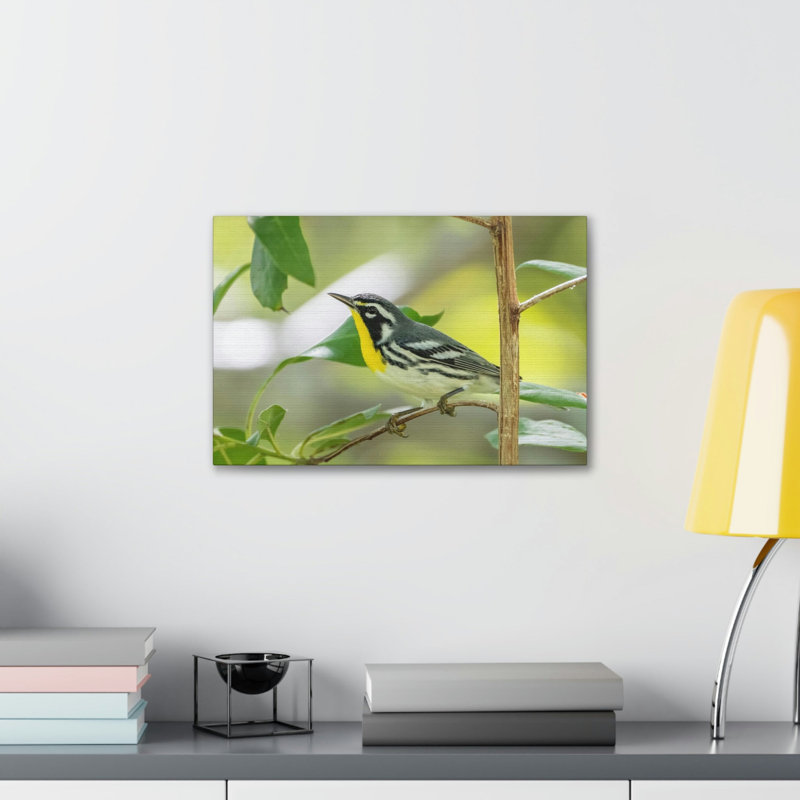 No Frame Print on Canvas, 11cm H x 14cm W