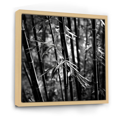 " Monochrome Bamboo Forest I "
