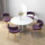 Christal Upholstery Dining Chair-163578546