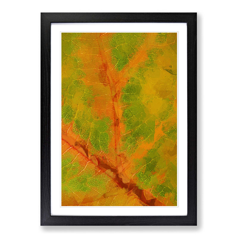 Map of a Leaf in Abstract - Picture Frame Graphic Art Print, Black, 91cm H x 60cm W x 2cm D