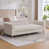 Beige est en rupture de stock