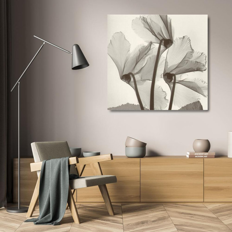 Cyclamen Study #1, 20" H x 21" W