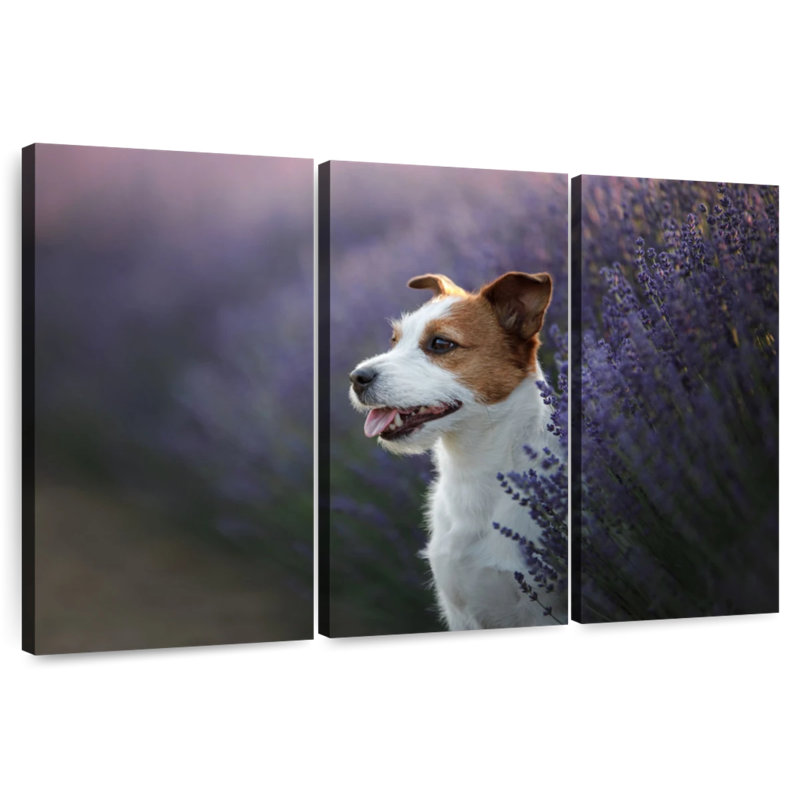 Brampt Lavender Field Dog, 20" H x 33" W