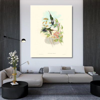 Lark Manor™ Gould, John Gallery Wrapped Canvas Art Titled: Hummingbird Delight I