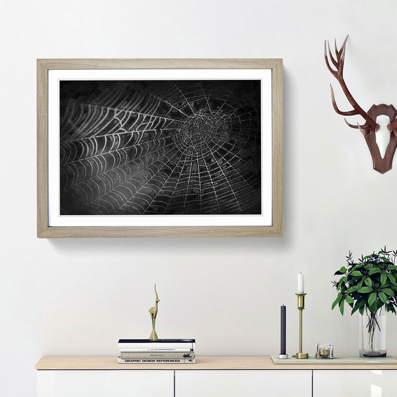 Spiders Cobweb in Abstract - Framed Print, 48cm H x 65cm W x 2cm D, Oak Framed