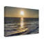 Dyara 'Seagull Flying' Photographic Print on Wrapped Canvas-30361788