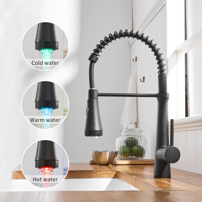 Fapully Pull Down Kitchen Faucet