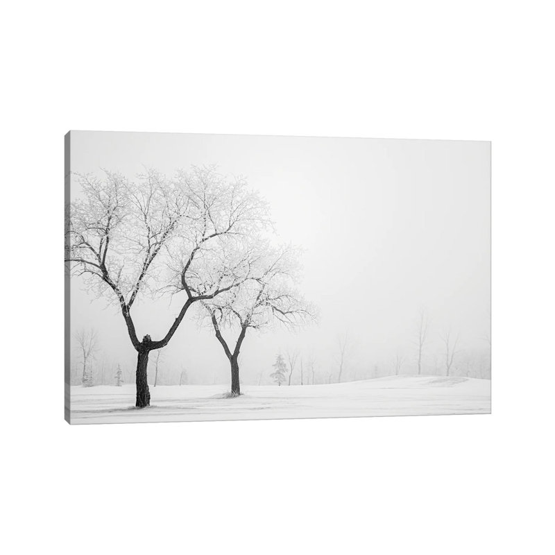 Two Hoarfrost Trees 1 Piece Wrapped Canvas Wall Art, 20.32 cm H x 30.48 cm W