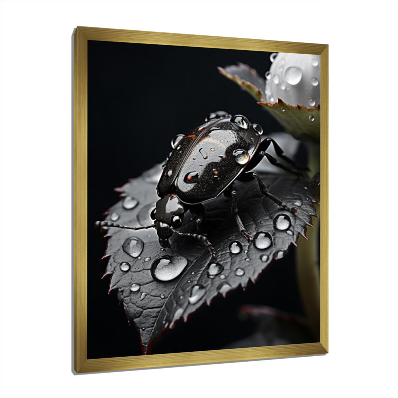Kymiere " Insects Bugs Portrait II ", Gold Single Picture Framed, 32" H x 24" W x 1" D