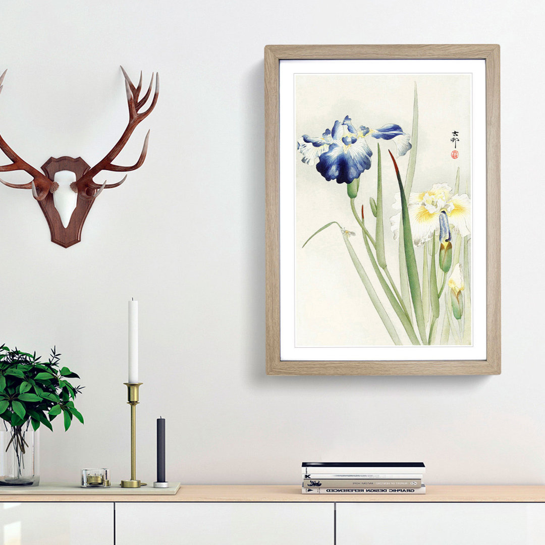 Irises by Ohara Koson - Framed Print