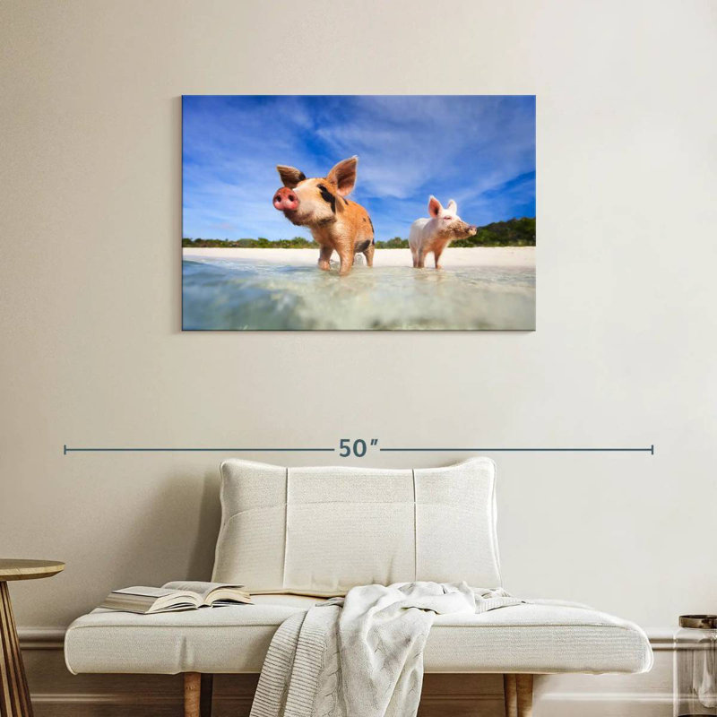 Crowle Pigs On Exumas Islands, 24" H x 36" W