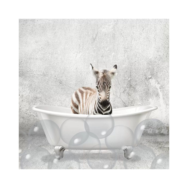 Baby Zebra Bath by Kimberly Allen - Wrapped Canvas Print, 45.72 cm H x 45.72 cm W x 3.175 cm D