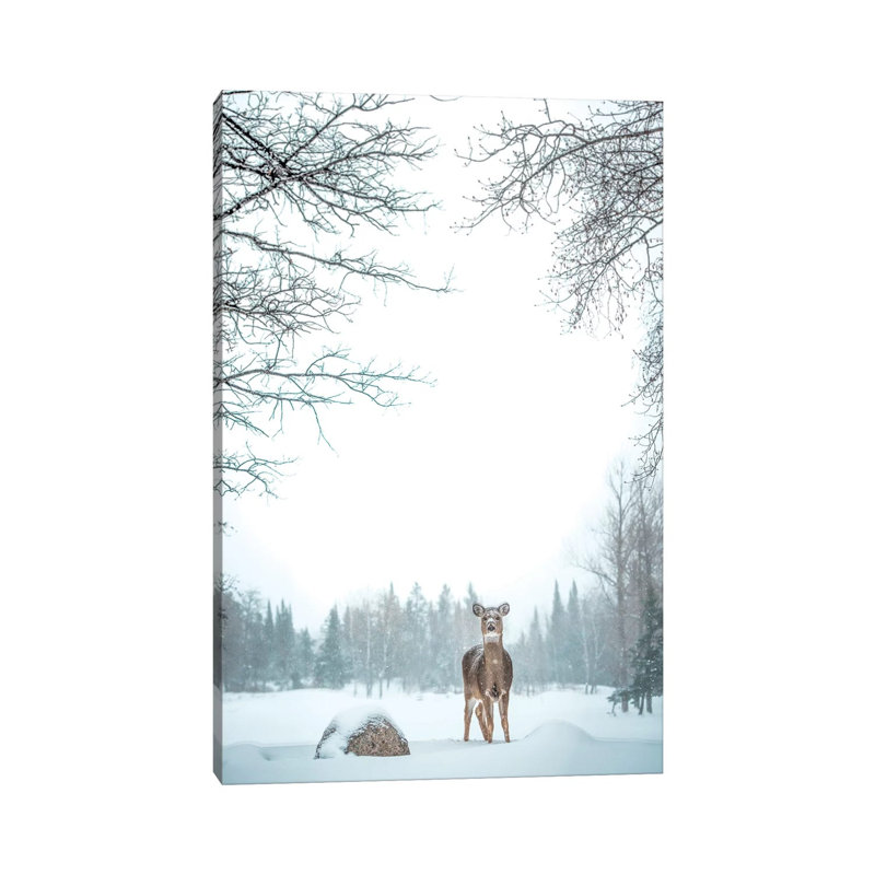 Deer In Deep Snow by Nik Rave - Wrapped Canvas Print, 30.48 cm H x 45.72 cm W