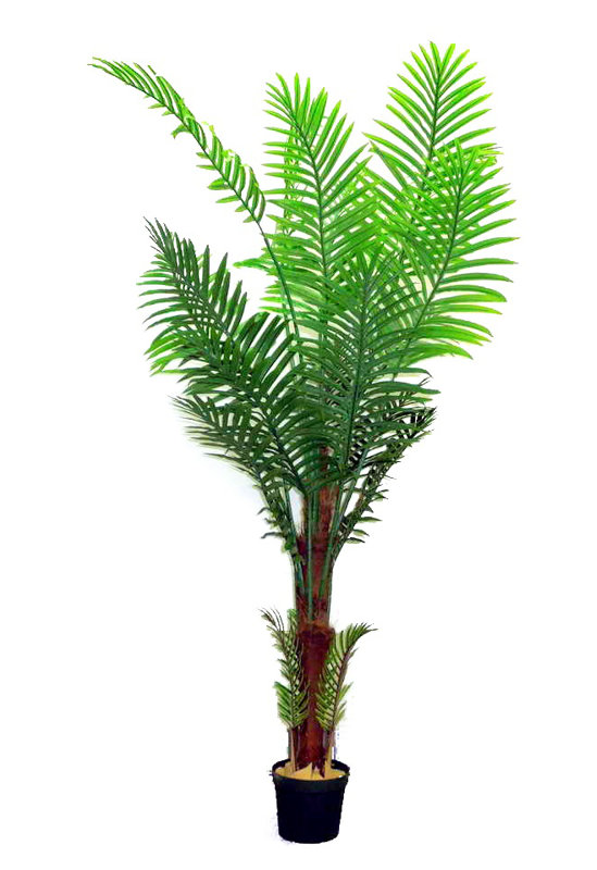 74 " H Faux Palm Tree in Plastic Pot