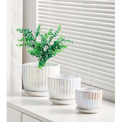 Ensemble de 3 pots de fleurs en céramique avec trou de drainage et soucoupe, pots de fleurs d'intérieur côtelés, blanc perle, faits à la main