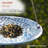 Aliyah-Lilly Glass Mosaic Birdbath