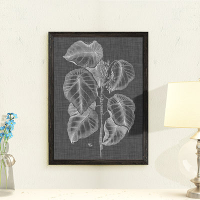 " 'Graphic Foliage IV' " by Paul Cezanne